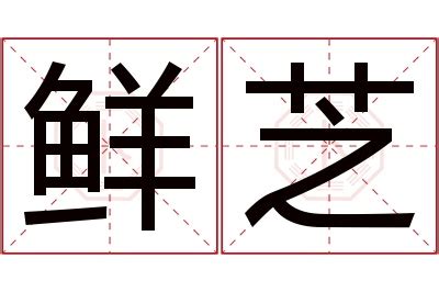 芝名字